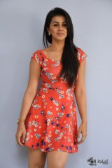 Nikki Galrani at Malupu Movie Press Meet